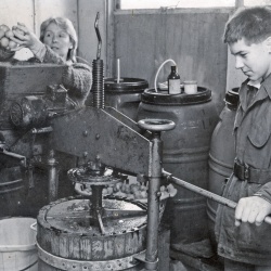 Upton Cider
